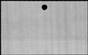 00833532.jpg