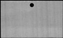 00833542.jpg