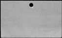 00833574.jpg