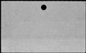 00833598.jpg