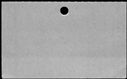 00833634.jpg