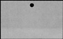 00833648.jpg