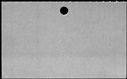 00833710.jpg