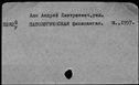 00312511.jpg