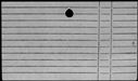 00977198.jpg