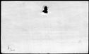 00977296.jpg