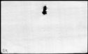 00977306.jpg
