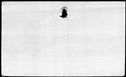 00977888.jpg