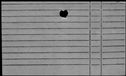 00979214.jpg
