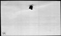 00979260.jpg