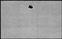 00979338.jpg