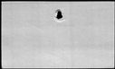 00979354.jpg