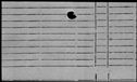 00979396.jpg