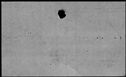 00979494.jpg