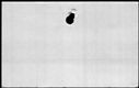 00979602.jpg