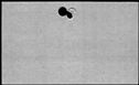 00979640.jpg