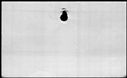 00979752.jpg