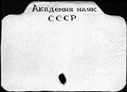 00979765.jpg