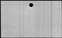 00981950.jpg