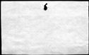 00841106.jpg