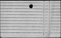 00984404.jpg