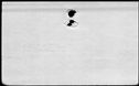 00229652.jpg