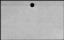 00229764.jpg