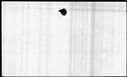 00068026.jpg