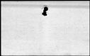 00089424.jpg