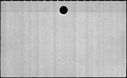 00091832.jpg