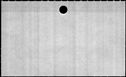 00091834.jpg