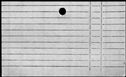 00333864.jpg