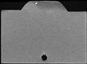 00097294.jpg