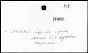 00099228.jpg