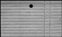 00110146.jpg