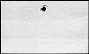 00112992.jpg