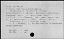 00117387.jpg