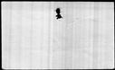 00719888.jpg