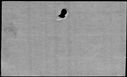 00126984.jpg