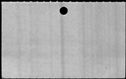 00133284.jpg