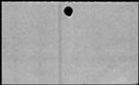 00133894.jpg