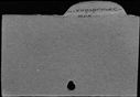 00142391.jpg