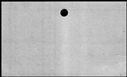 00341936.jpg