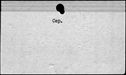 00539760.jpg