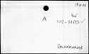 00540254.jpg