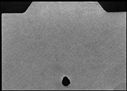 00541320.jpg
