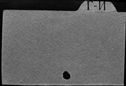 00542009.jpg