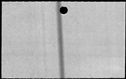 00146024.jpg