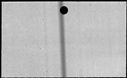 00146042.jpg
