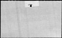 00147958.jpg